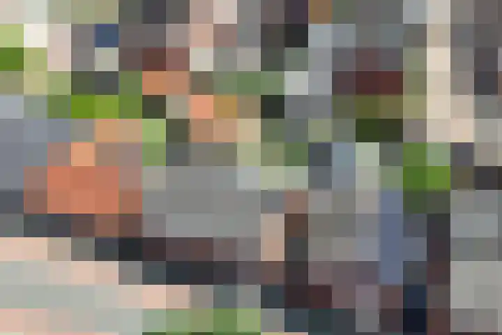 Esstraat 37 Rijssen thumbnail 36