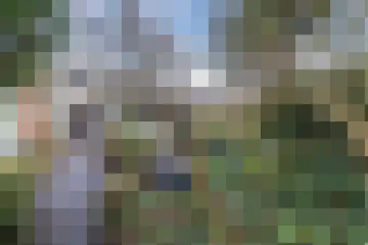Esstraat 38 Assen thumbnail 39