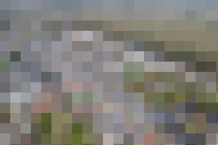 Esstraat 38 Assen thumbnail 43