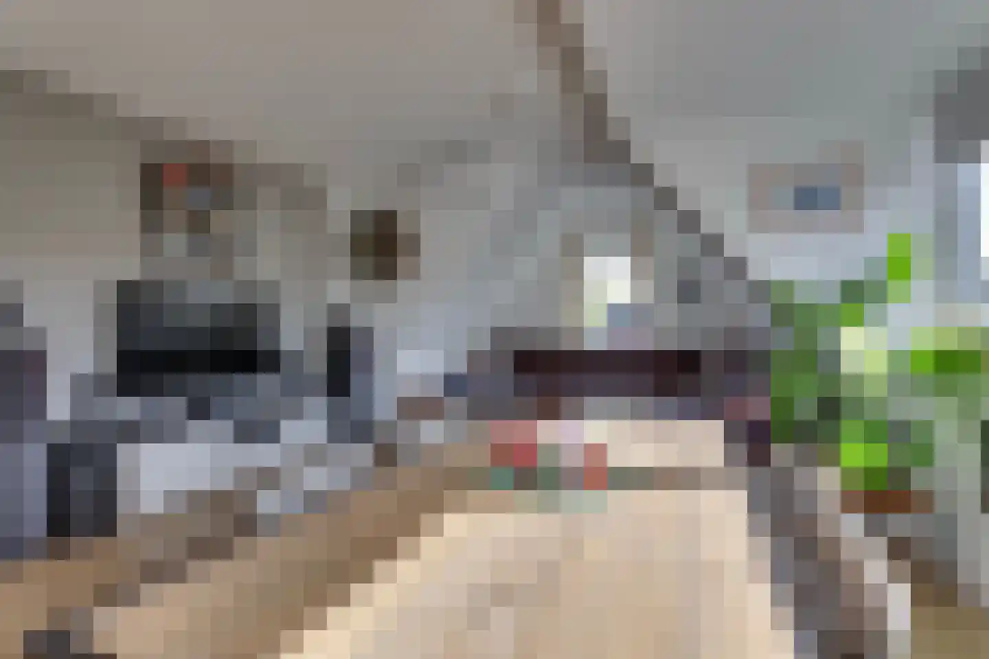 Esstraat 38 B Rijssen thumbnail 12
