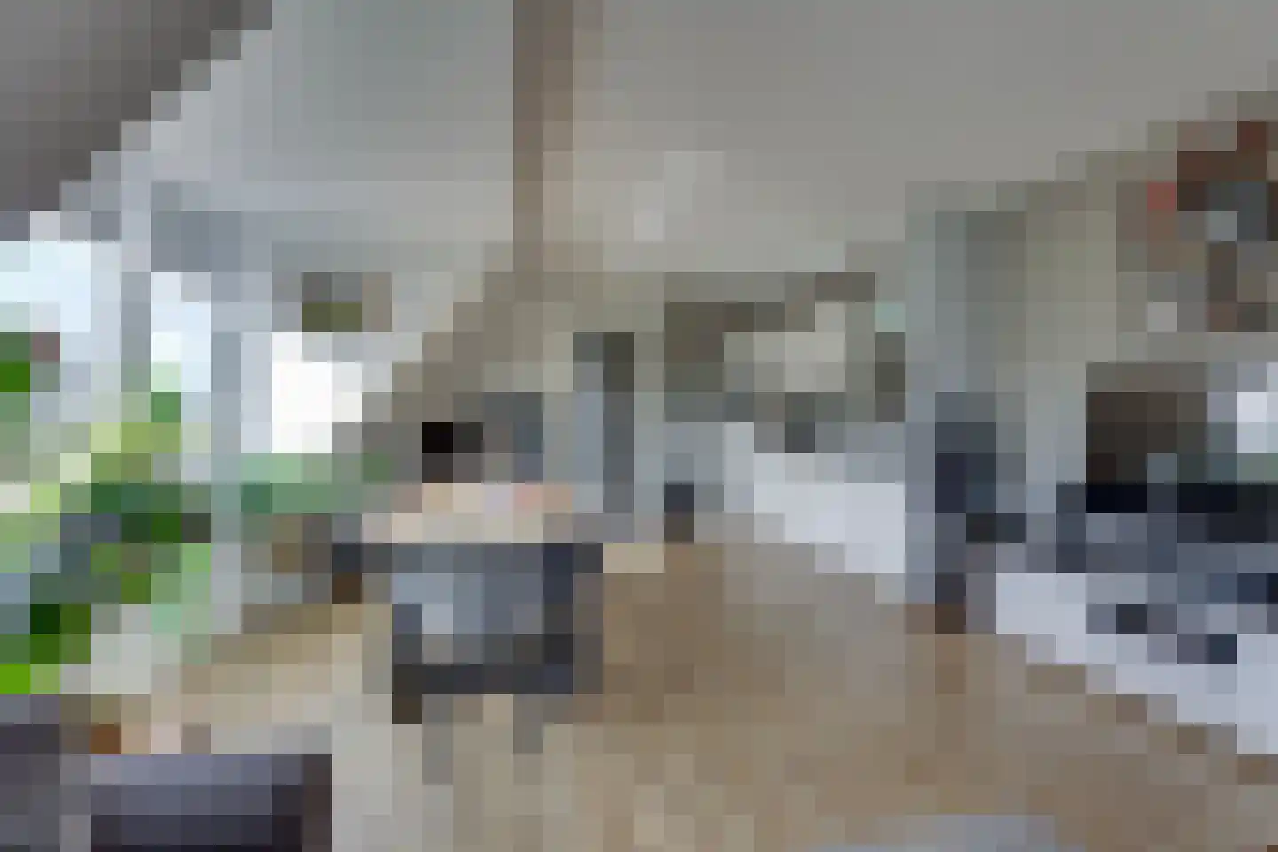 Esstraat 38 B Rijssen thumbnail 14