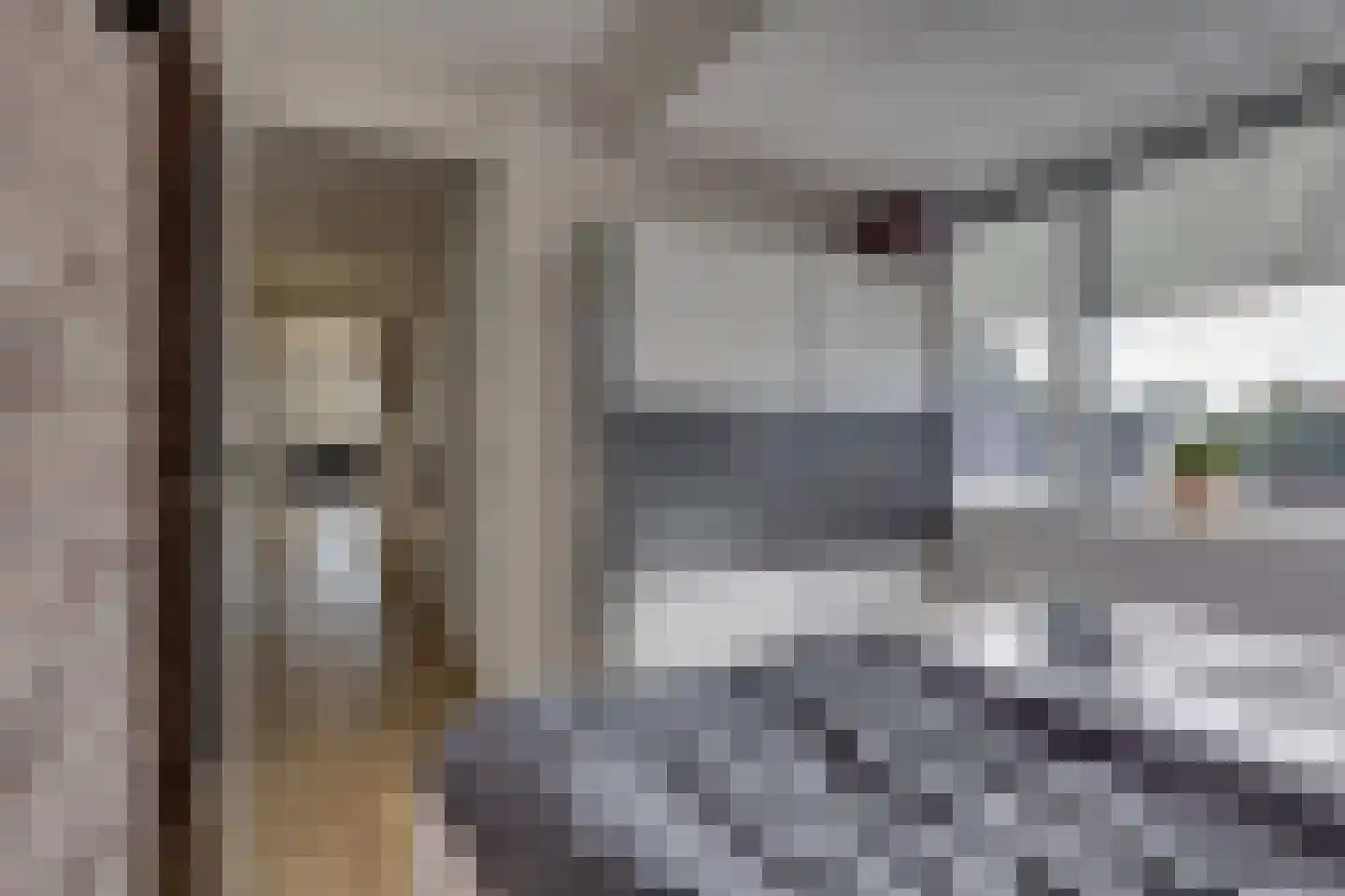 Esstraat 38 B Rijssen thumbnail 22