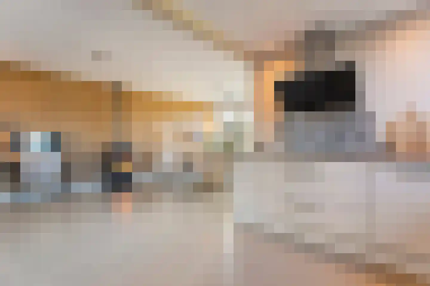 Esstraat 38 Wijster thumbnail 16