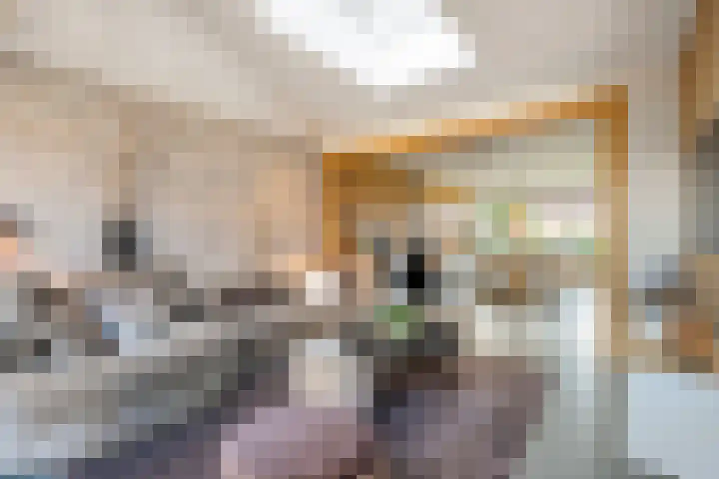 Esstraat 38 Wijster thumbnail 22
