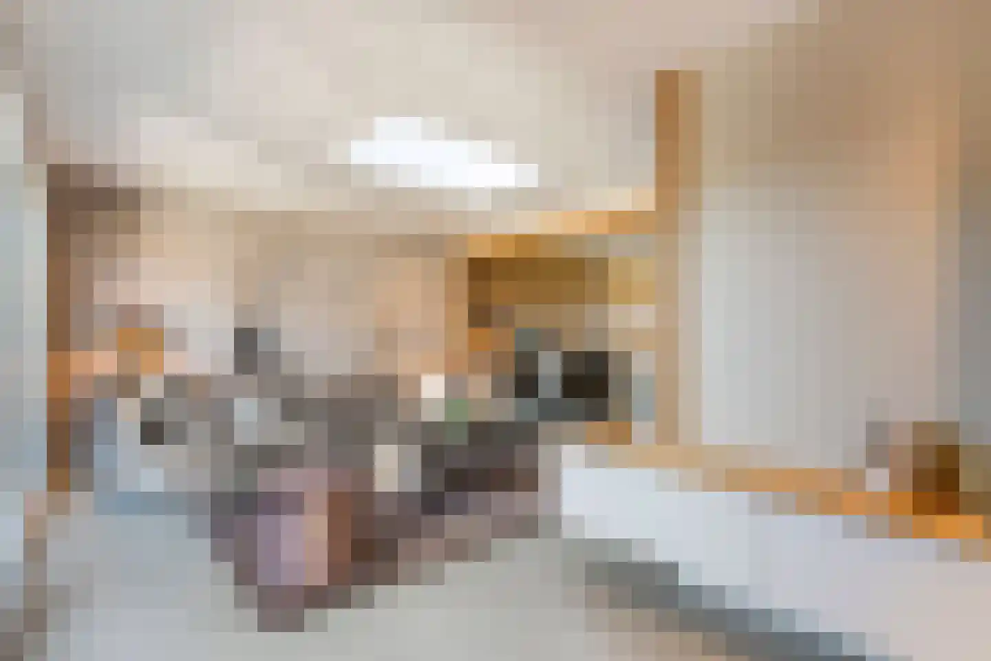 Esstraat 38 Wijster thumbnail 27