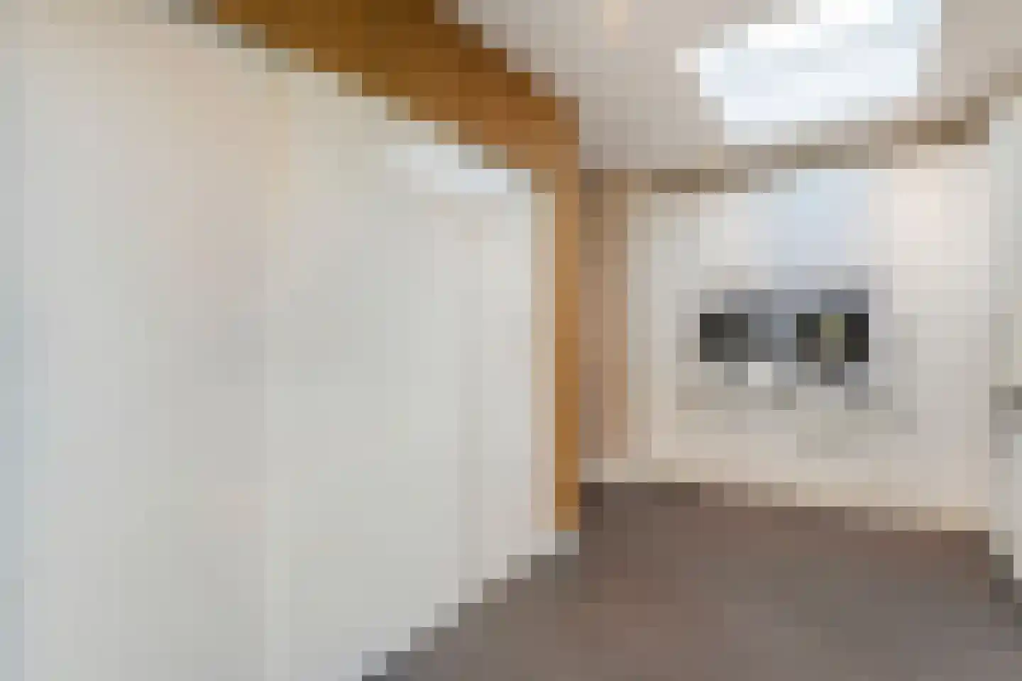 Esstraat 38 Wijster thumbnail 35