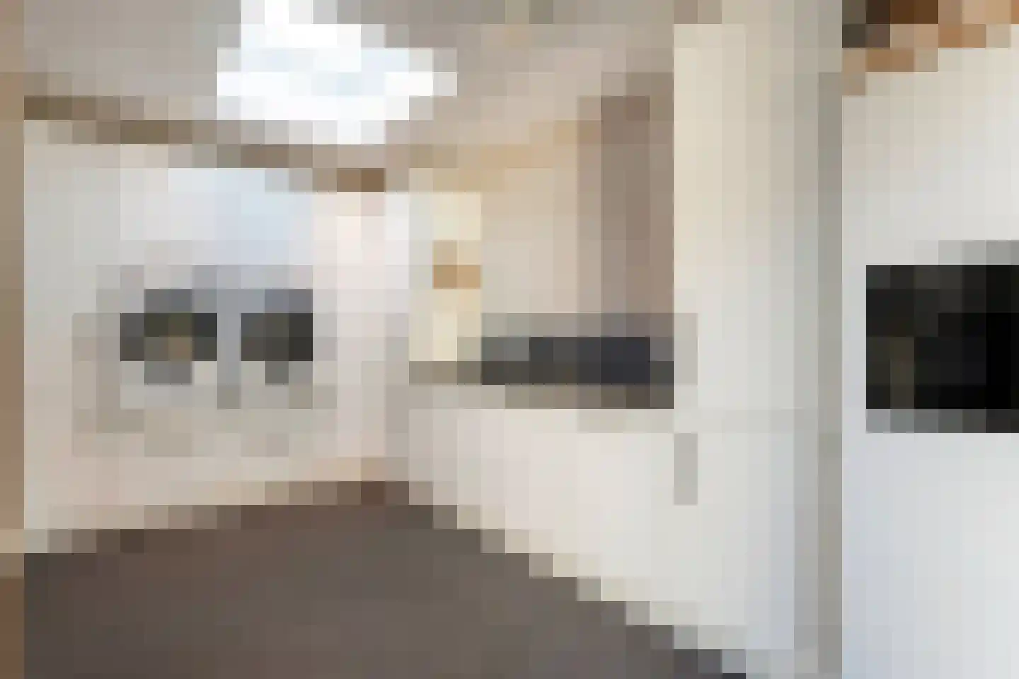 Esstraat 38 Wijster thumbnail 36