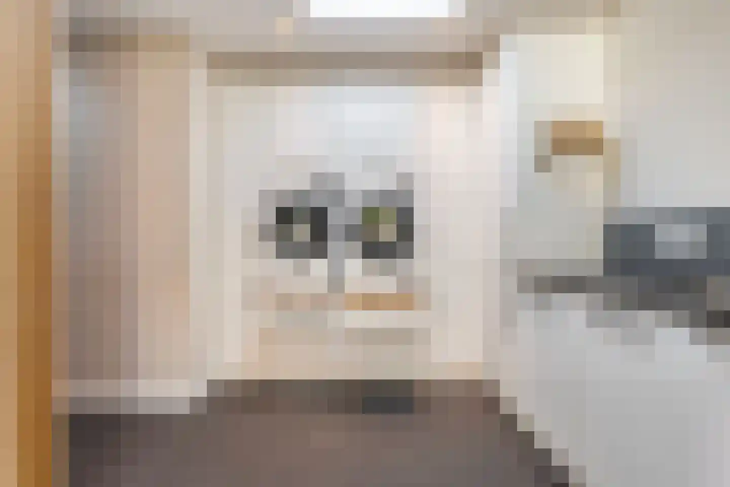 Esstraat 38 Wijster thumbnail 39