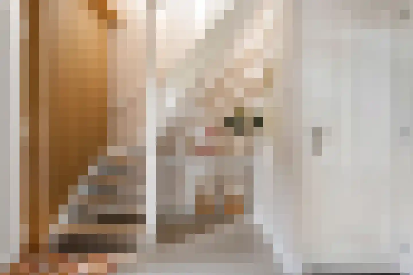 Esstraat 38 Wijster thumbnail 7
