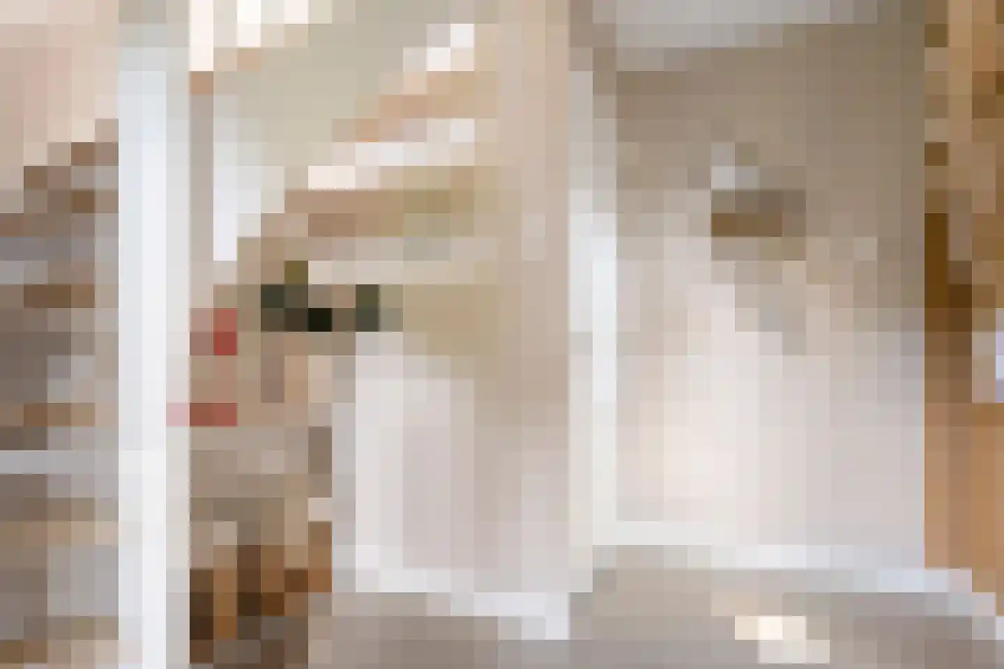 Esstraat 38 Wijster thumbnail 8