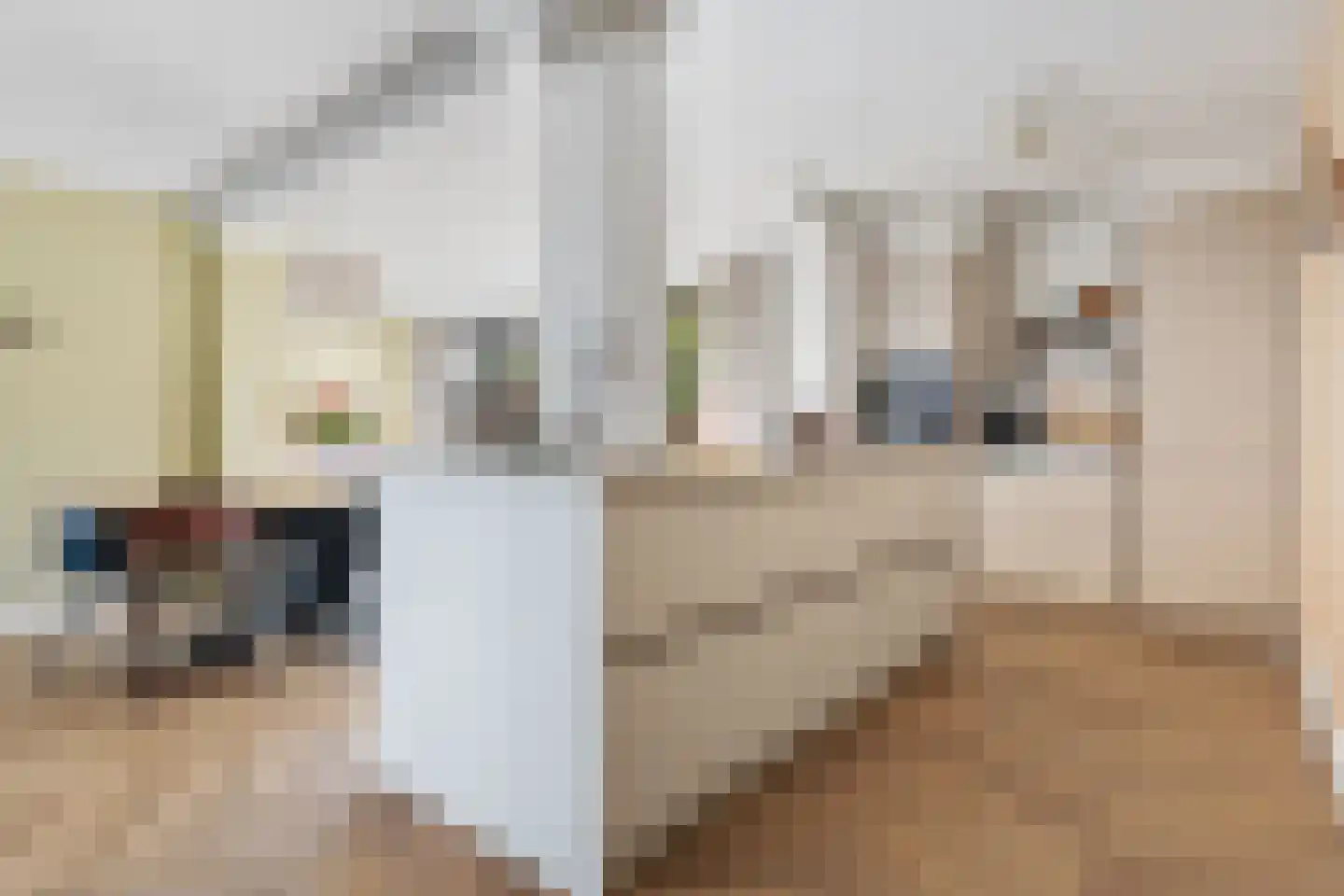 Esstraat 46 Assen thumbnail 11