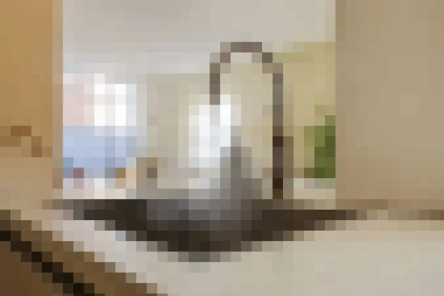 Esstraat 46 Assen thumbnail 12