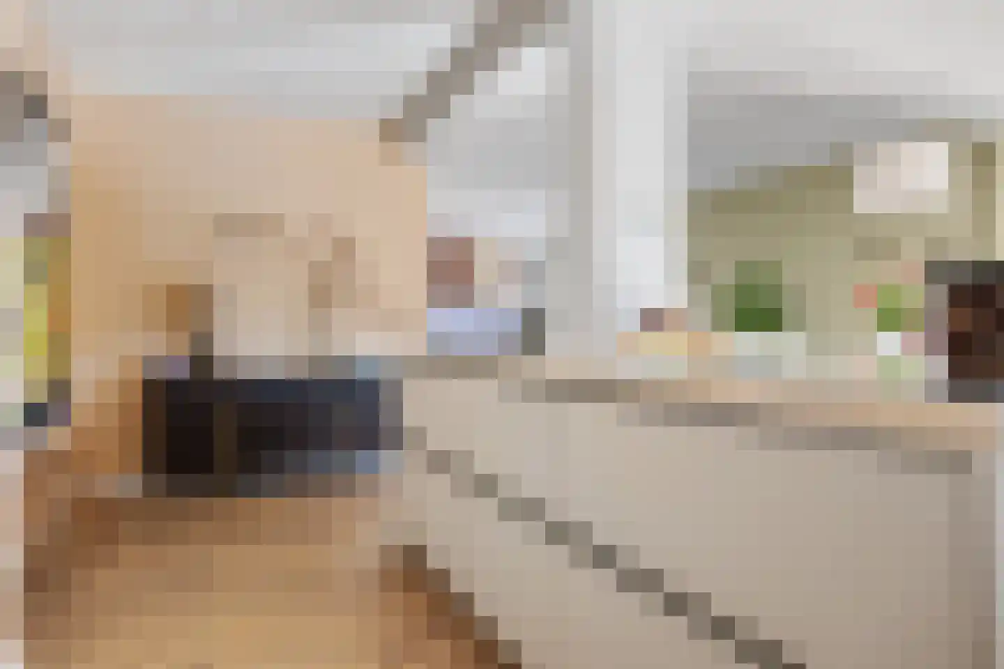 Esstraat 46 Assen thumbnail 13