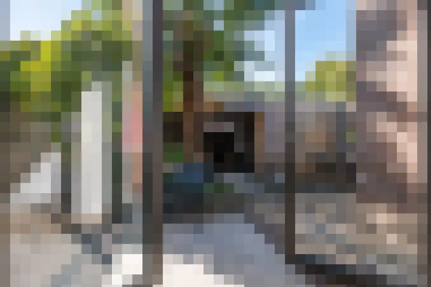 Esstraat 46 Assen thumbnail 29
