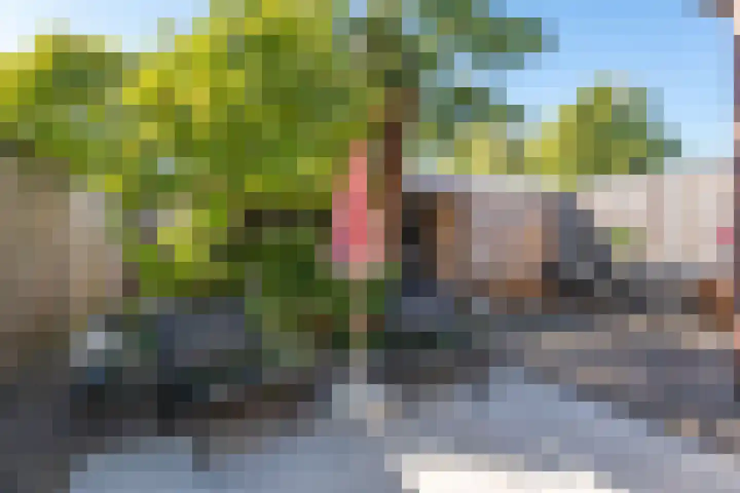 Esstraat 46 Assen thumbnail 32