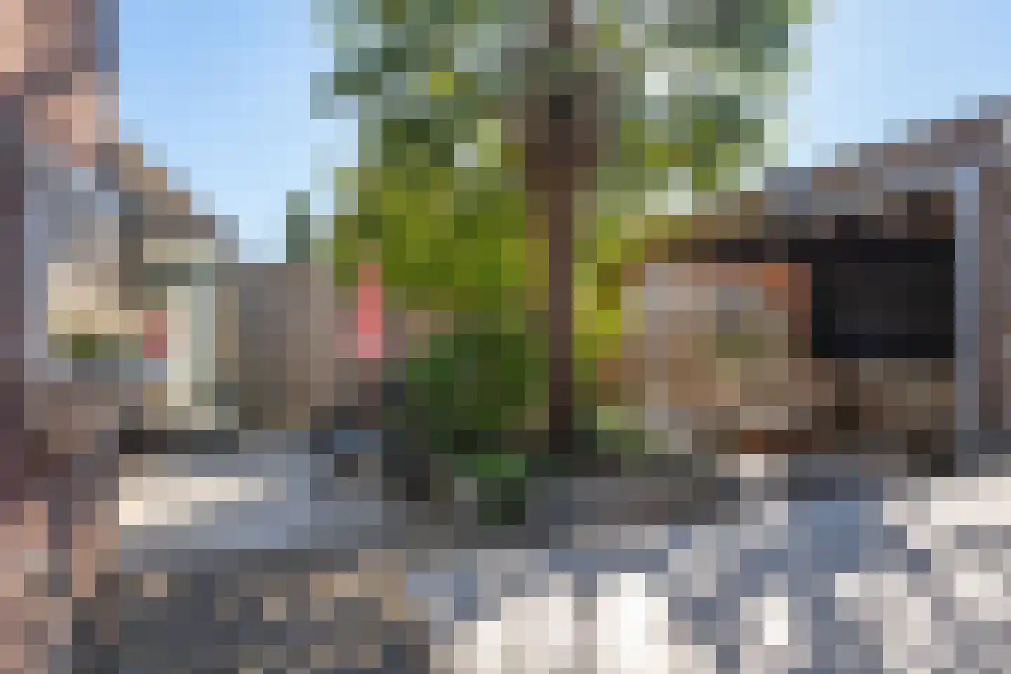 Esstraat 46 Assen thumbnail 33