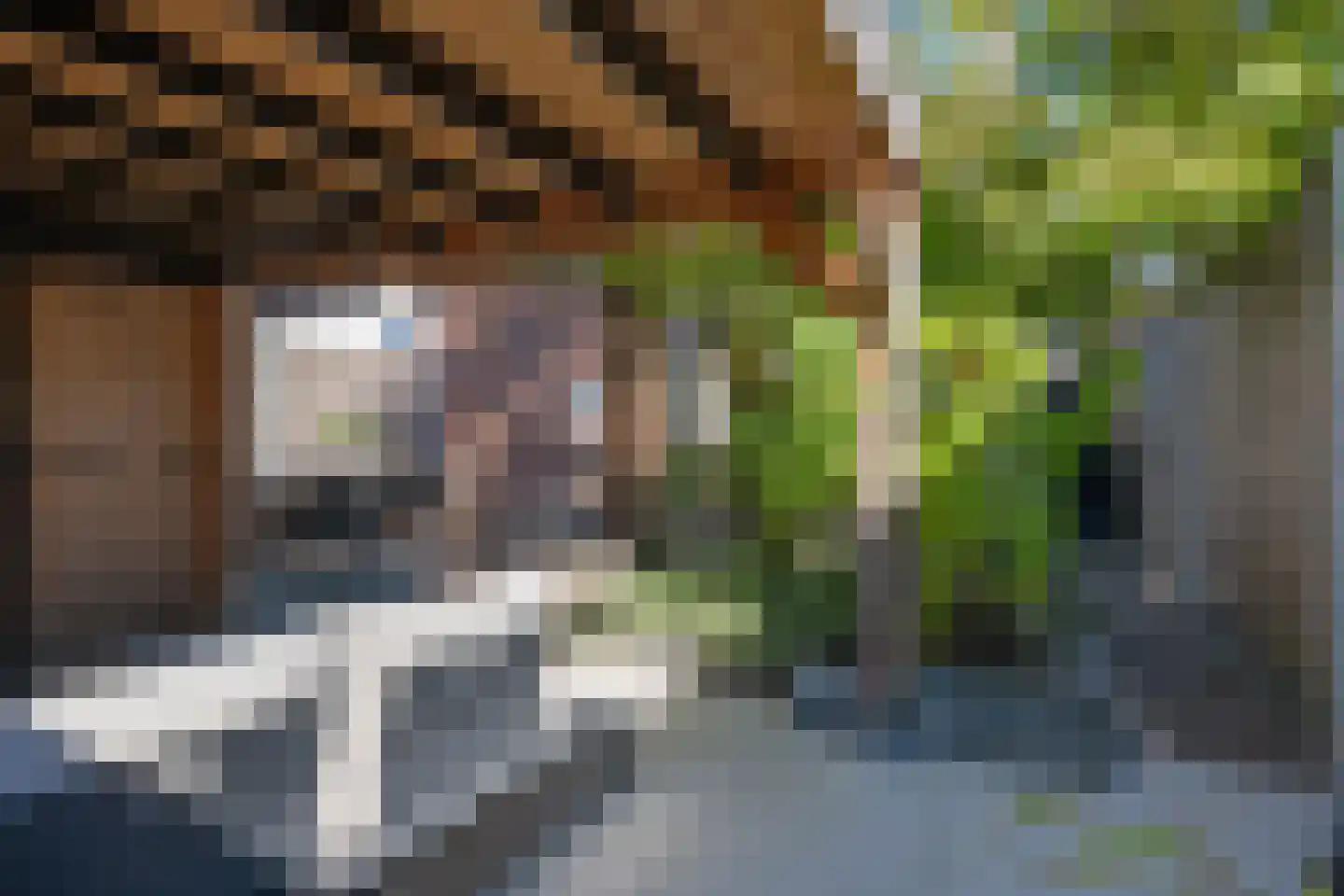 Esstraat 46 Assen thumbnail 35