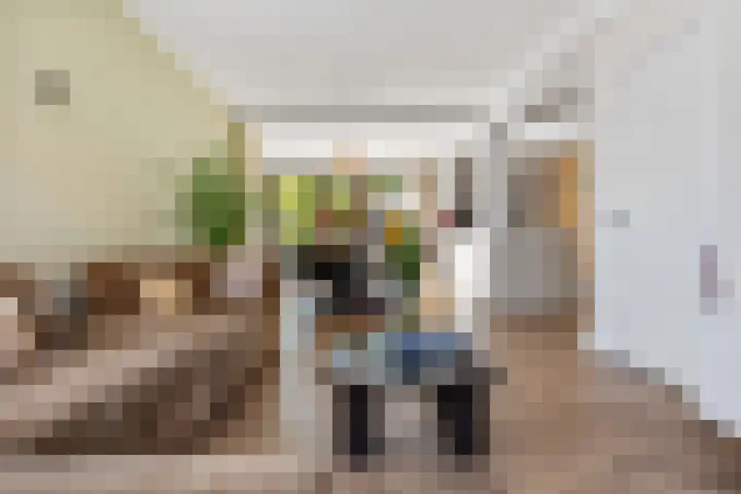 Esstraat 46 Assen thumbnail 9