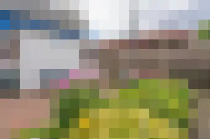Esstraat 47 Assen thumbnail 33
