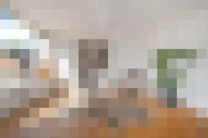Esstraat 49 Assen thumbnail 37