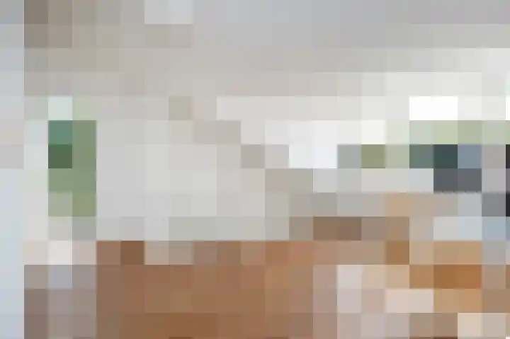 Esstraat 49 Assen thumbnail 48
