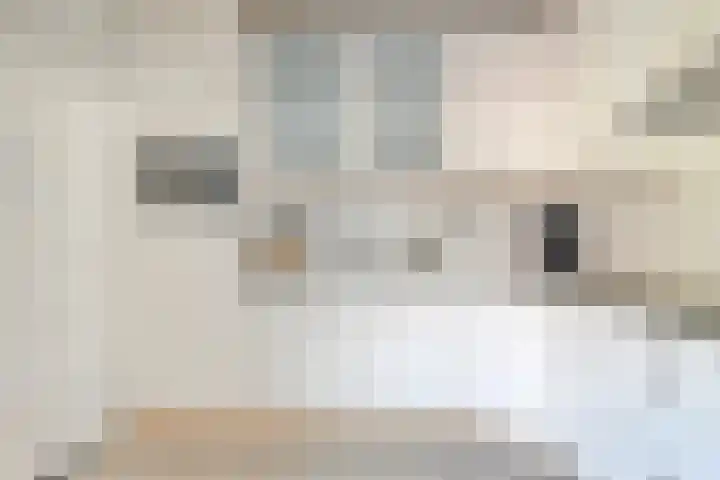 Esstraat 49 Lichtenvoorde thumbnail 15