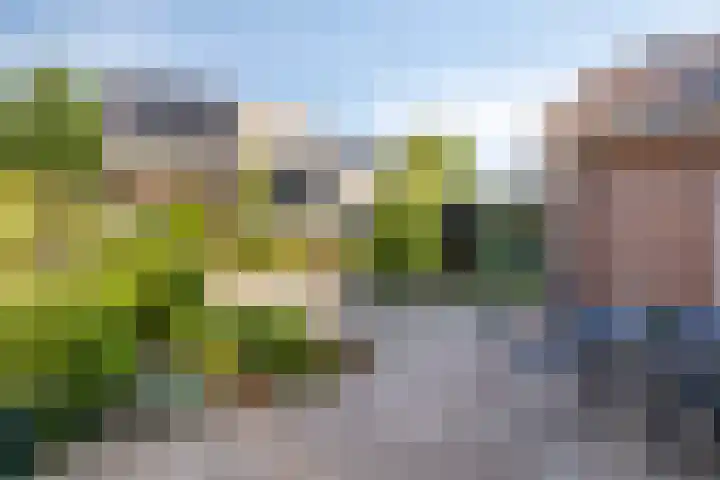 Esstraat 49 Lichtenvoorde thumbnail 30