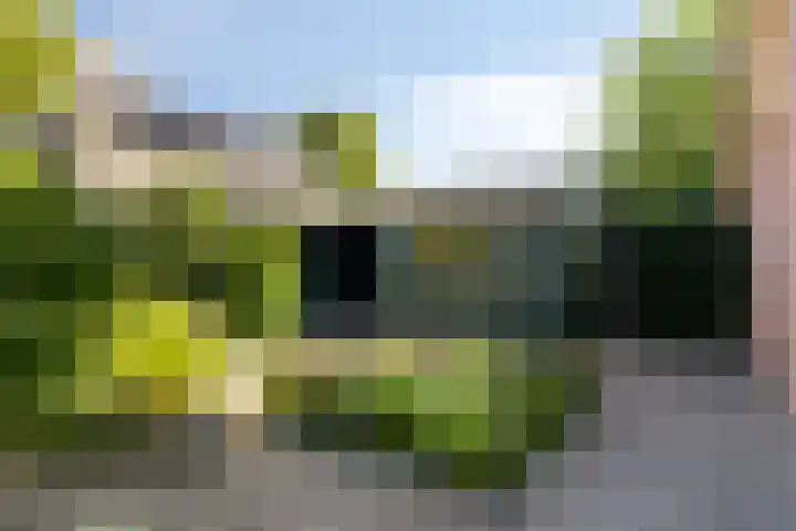 Esstraat 49 Lichtenvoorde thumbnail 32