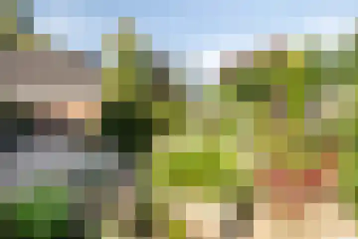 Esstraat 49 Lichtenvoorde thumbnail 33
