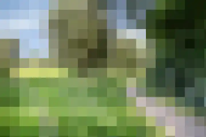 Esstraat 49 Lichtenvoorde thumbnail 36