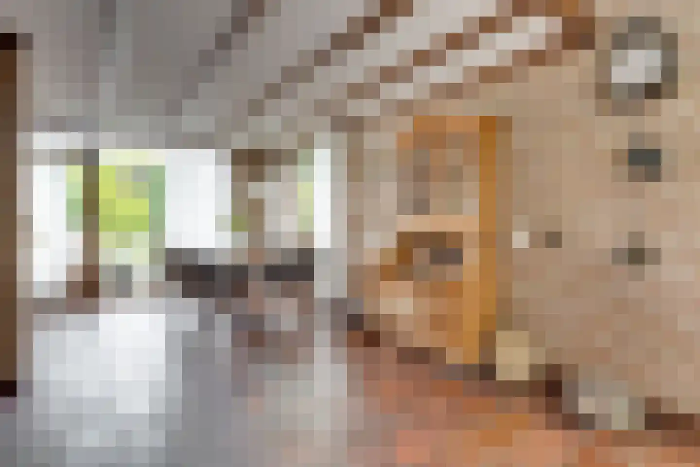 Esstraat 55 Lichtenvoorde thumbnail 10