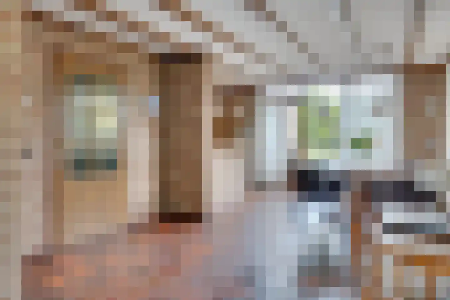 Esstraat 55 Lichtenvoorde thumbnail 11