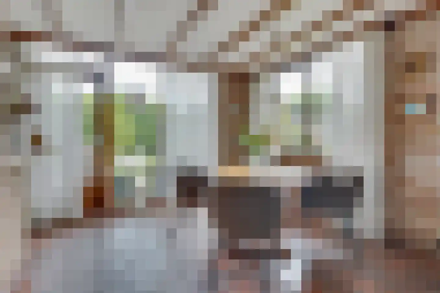 Esstraat 55 Lichtenvoorde thumbnail 12
