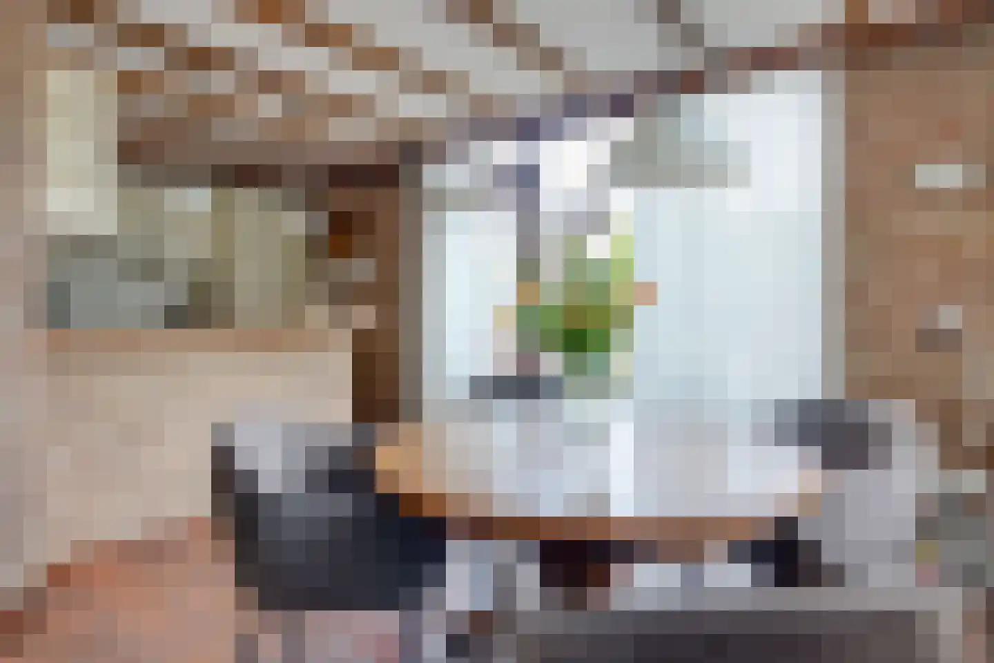 Esstraat 55 Lichtenvoorde thumbnail 13