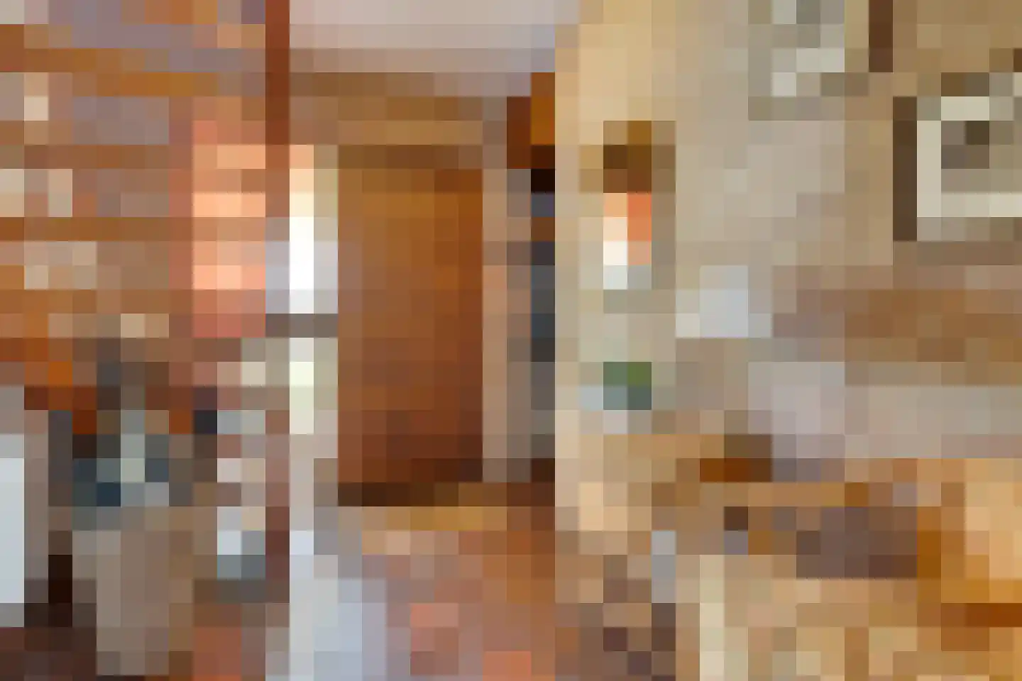 Esstraat 55 Lichtenvoorde thumbnail 18