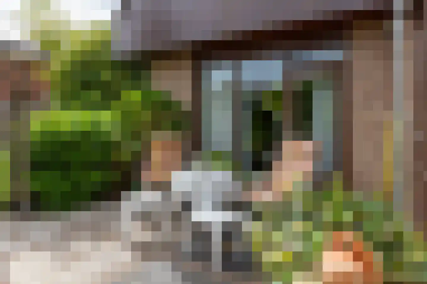 Esstraat 55 Lichtenvoorde thumbnail 40