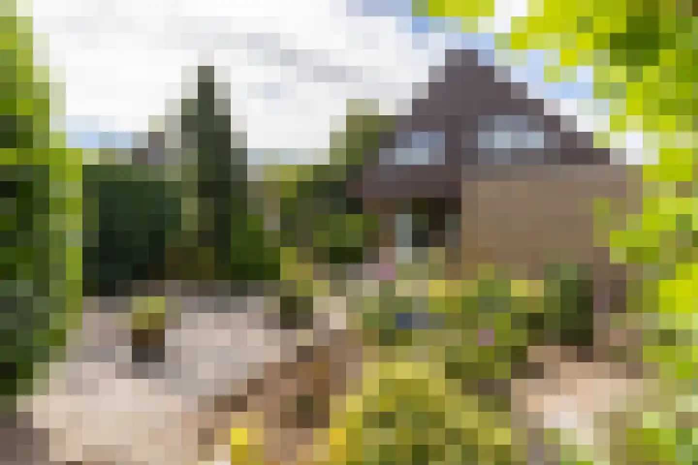 Esstraat 55 Lichtenvoorde thumbnail 41