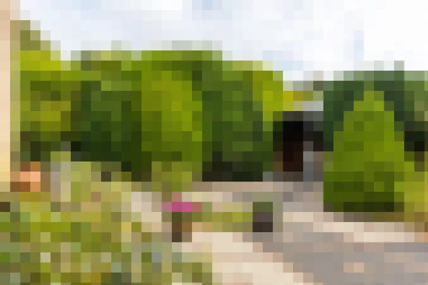 Esstraat 55 Lichtenvoorde thumbnail 43