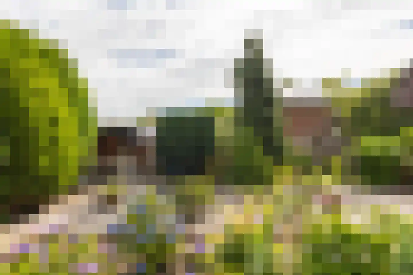 Esstraat 55 Lichtenvoorde thumbnail 44