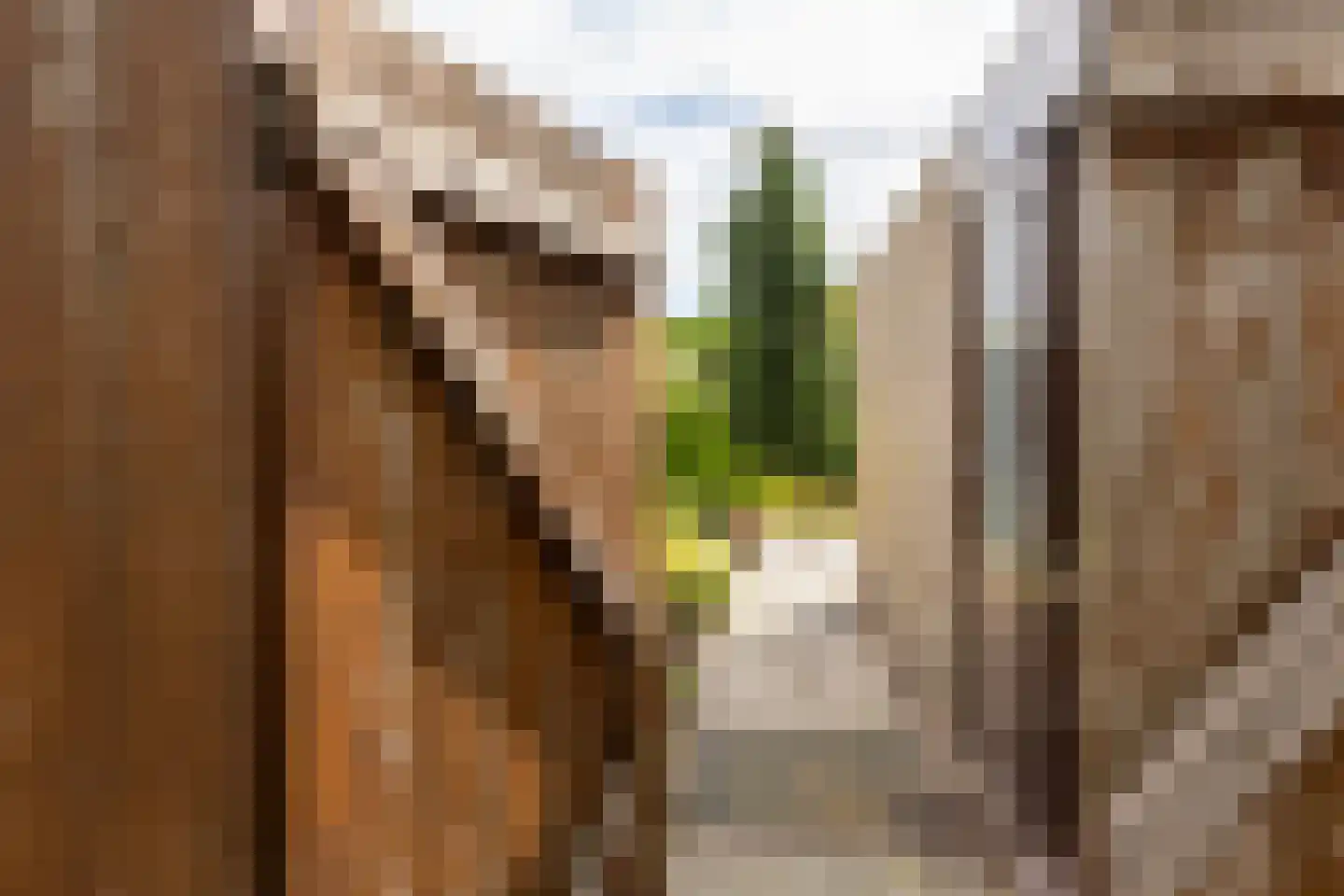 Esstraat 55 Lichtenvoorde thumbnail 46