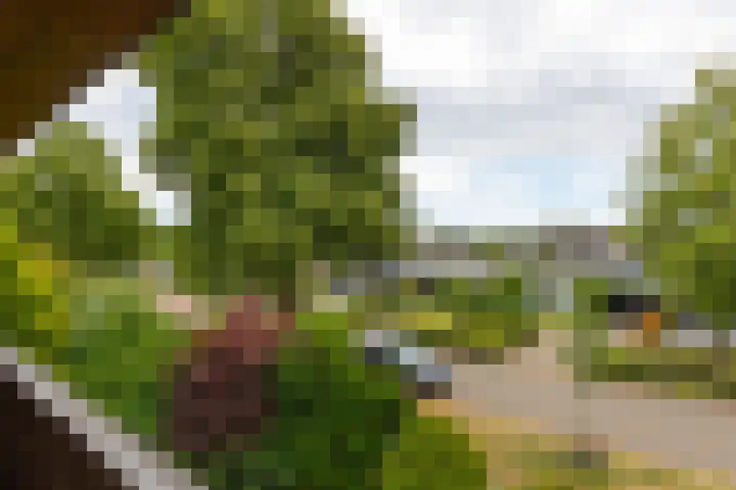 Esstraat 55 Lichtenvoorde thumbnail 48