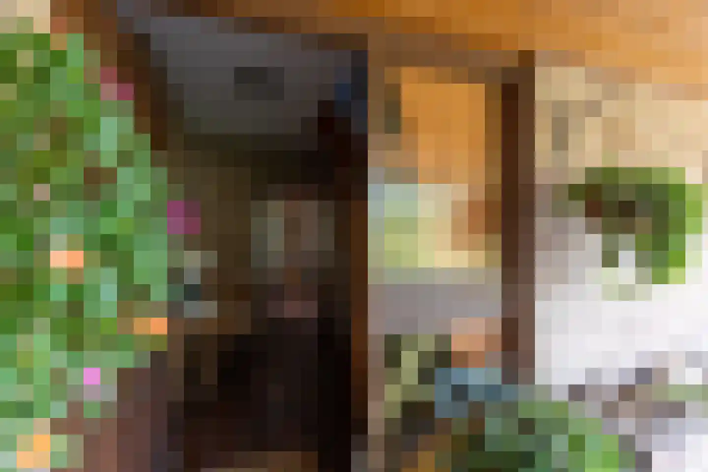 Esstraat 55 Lichtenvoorde thumbnail 5