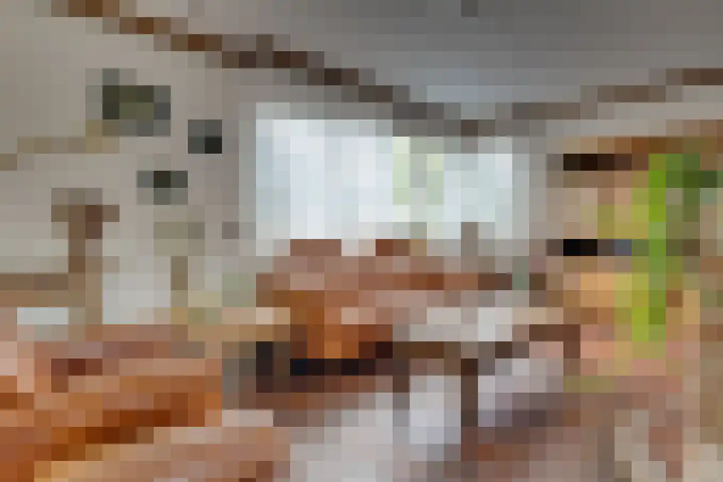 Esstraat 55 Lichtenvoorde thumbnail 6