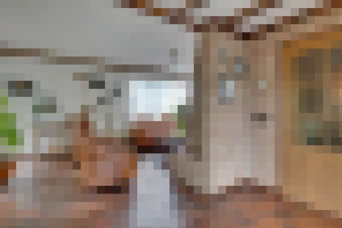 Esstraat 55 Lichtenvoorde thumbnail 7