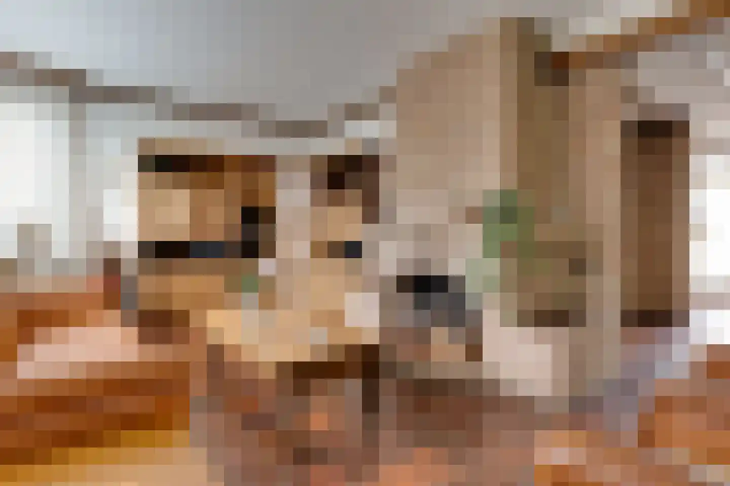 Esstraat 55 Lichtenvoorde thumbnail 8