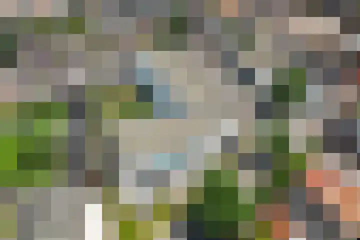 Esstraat 56 102 Rijssen thumbnail 41