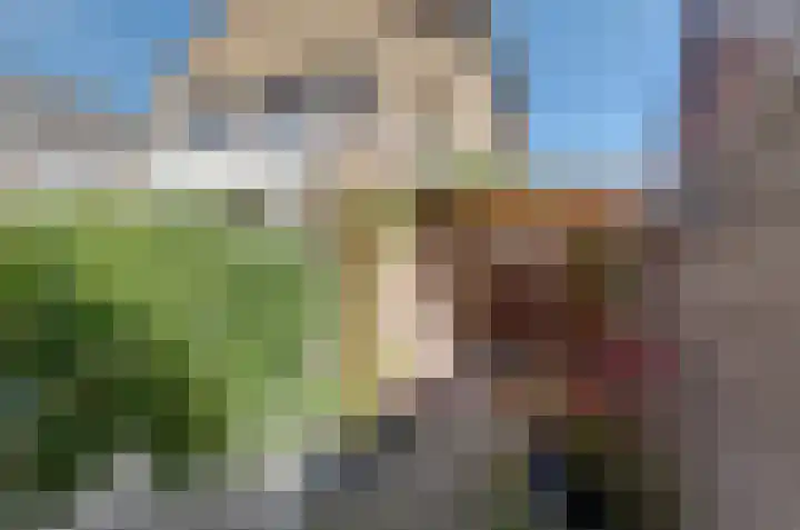 Esstraat 58 Assen thumbnail 29