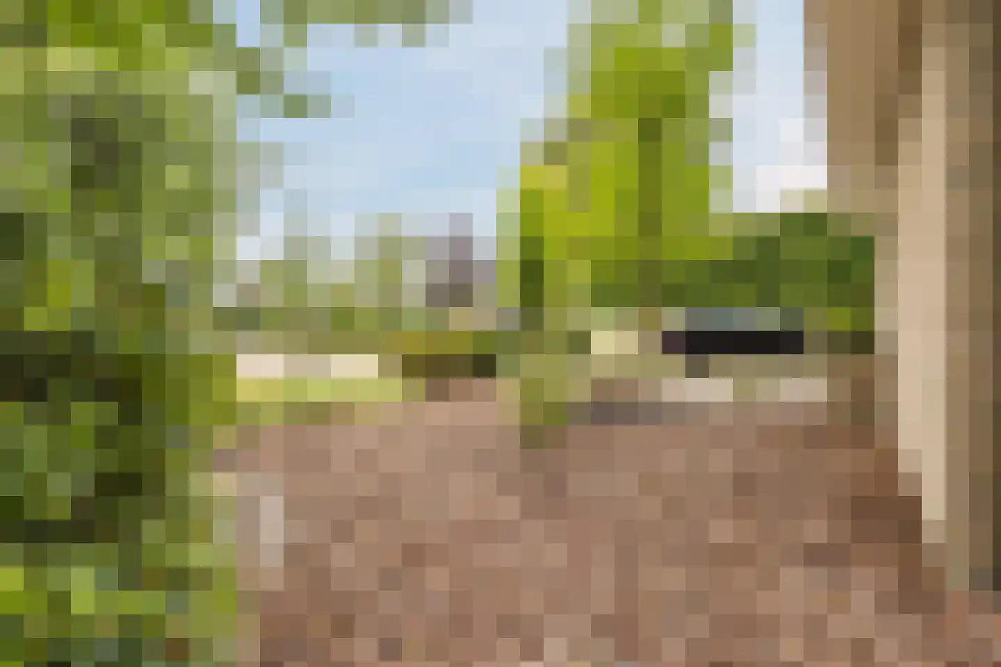 Esstraat 59 Lichtenvoorde thumbnail 103