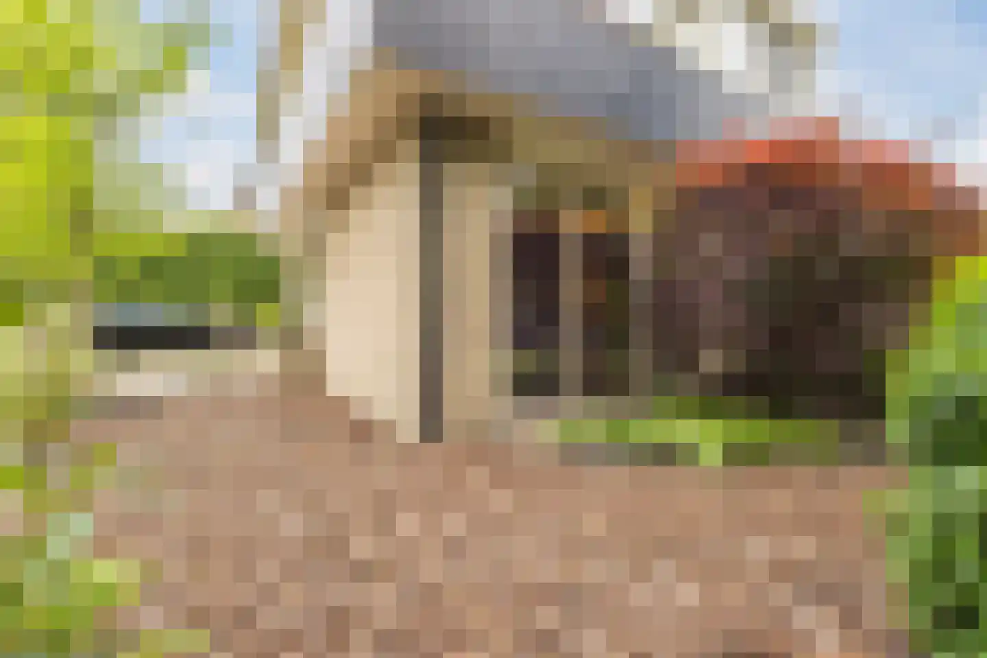 Esstraat 59 Lichtenvoorde thumbnail 104