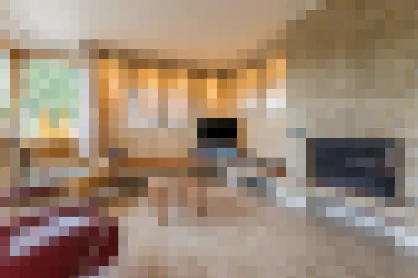 Esstraat 59 Lichtenvoorde thumbnail 13